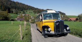 DVZO: Neuer historischer Busbetrieb im Zürcher Oberland hat sich bewährt und wird auf kommende Saison hin verbessert