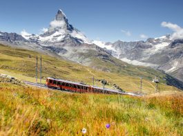 Zug der Gornergrat Bahn vor dem Matterhorn_BVZ Holding_15-8-18