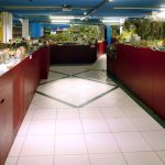 Modelleisenbahnclub Kirchmaettli Horw Anlage_MCH_2019