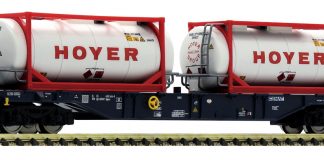 N-Fleischmann-825216 CEMAT Containertragwagen Sgnss mit Hoyer-Containern_Modelleisenbahn Muenchen_22 7 20