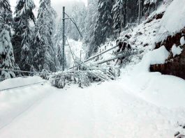 Unwetterschaeden Schnee_Rigi Historic_1 21