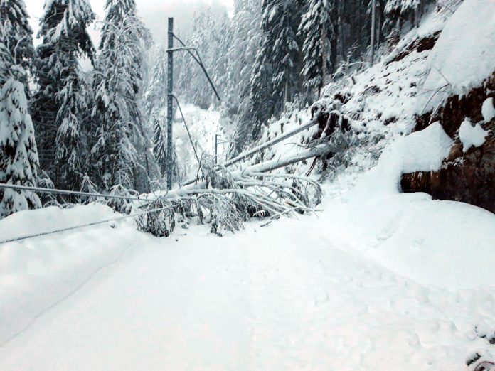 Unwetterschaeden Schnee_Rigi Historic_1 21