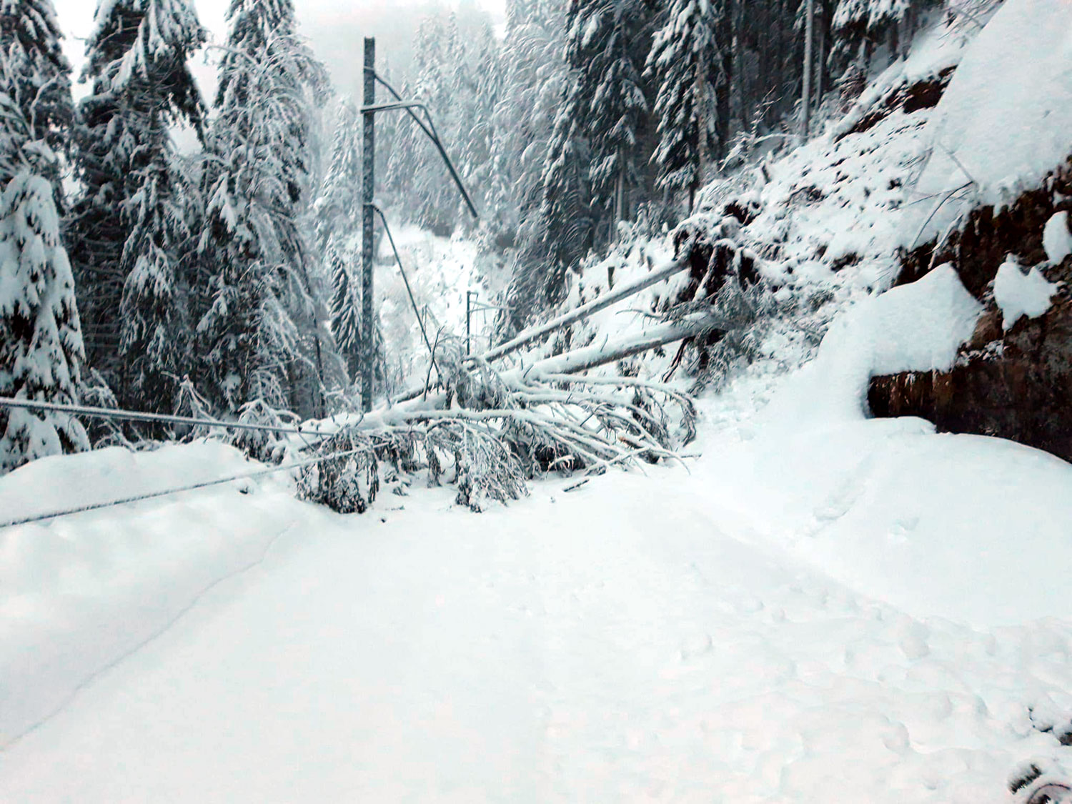 Unwetterschaeden Schnee_Rigi Historic_1 21