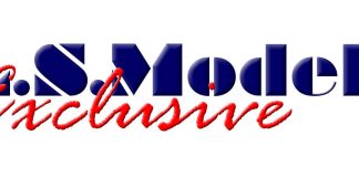 LSM-Logo
