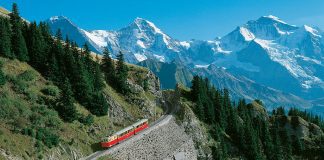 Schynige Platte Bahn_Jungfraubahnen Management_7 6 05