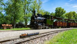 Grossbahnfest 2022: In weniger als einem Monat wird Schinznach-Dorf zum Treffpunkt der internationalen Gartenbahnszene