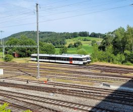 Letzte Thurbo See-GTW in Etzwilen abgestellt - und weitere Themen [Kurzzug Fahrzeuge]
