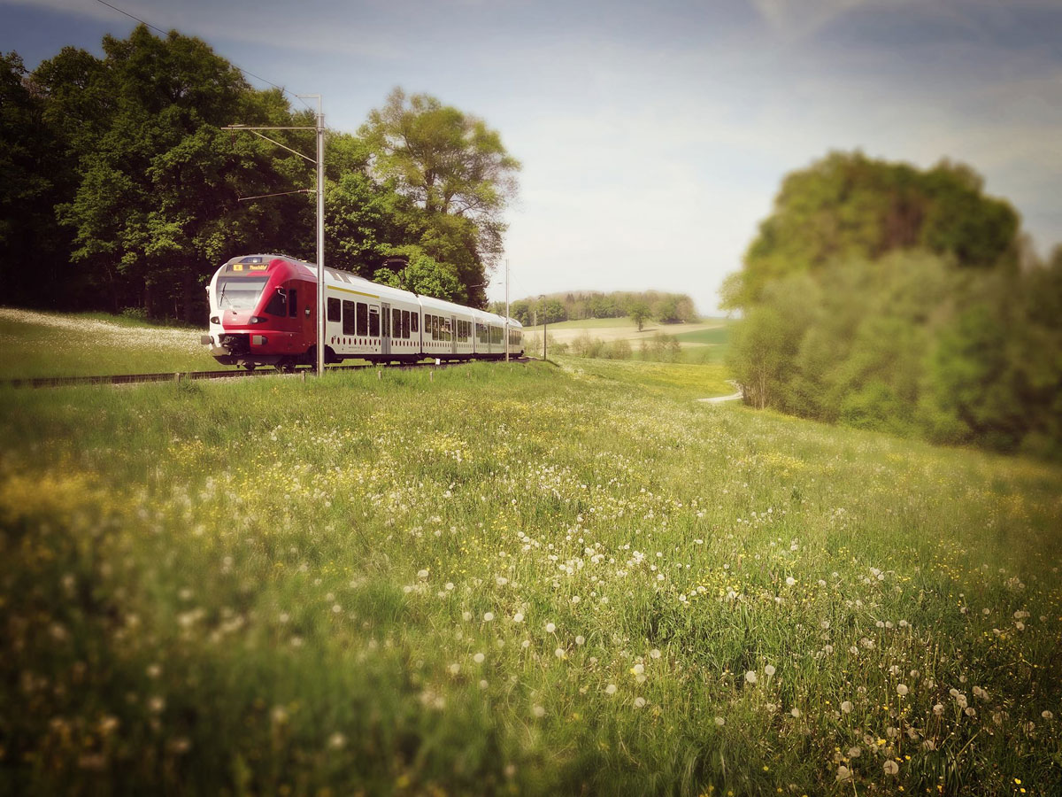 FLIRT_Freiburgische Verkehrsbetriebe Holding TPF