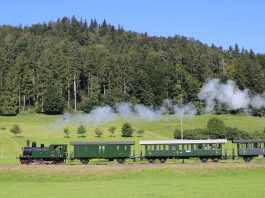 Dampfzug auf Zeitreise_DVZO Hugo Wenger_4 9 21