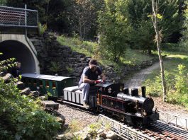 Dampfzug_Gartenbahn Staufen