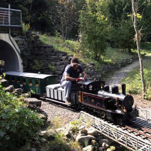 Dampfzug_Gartenbahn Staufen