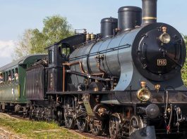 SBB Historic 705-mit-Zug-Ramsen_Georg Trueb