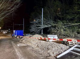 Wolfsschlucht Basel Baum stuerzte BVB-Fahrleitung_Kapo BS_8 4 22