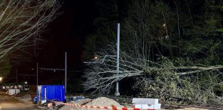 Wolfsschlucht Basel Baum stuerzte BVB-Fahrleitung_Kapo BS_8 4 22