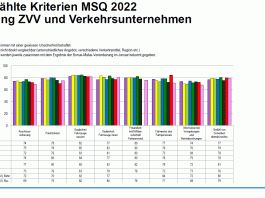 Ausgewaehlte Kriterien MSQ 2022_ZVV_9 22