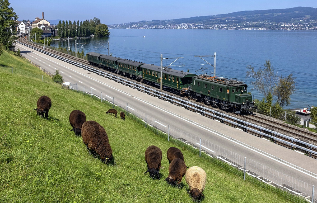 Ae 36 I 10664 Zuerichsee_SBB Historic Ostschweiz