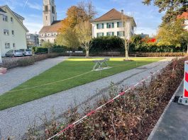 Dietikon Bahnhofplatz Ost Roemergarten_SBB CFF FFS_11 22