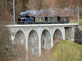 Bruenig Dampfbahn Dampflok G 34 208_Robertus Laan_1 4 18