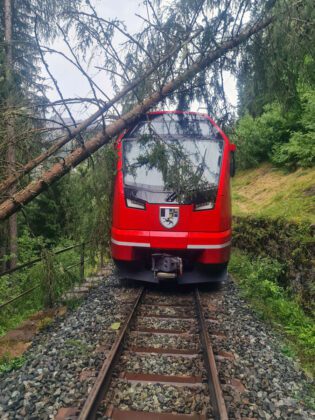 Baumwurf-Ardez-Scuol_RhB_18 7 23