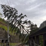 Baumwurf-Chur-Arosa_RhB_18 7 23