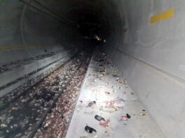 Güterbahnunfall im Gotthardbasistunnel: VAP engagiert sich für umfassende Aufarbeitung
