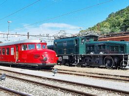 Fahrzeugparade-Depot_Team 10439 historische Loks Olten