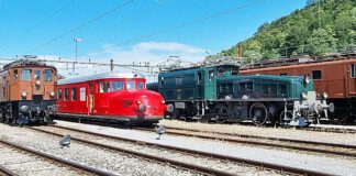 Fahrzeugparade-Depot_Team 10439 historische Loks Olten