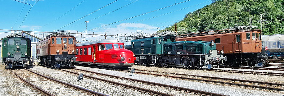 Fahrzeugparade-Depot_Team 10439 historische Loks Olten