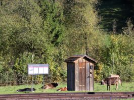 Idylle Gelaende Erlebbares Schweizer Bahnkulturerbe Bauma_DVZO Hugo Wenger_16 10 22