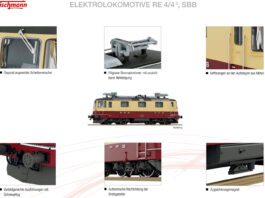 N Fleischmann Re 44 II Grafik_Modelleisenbahn GmbH_1 24