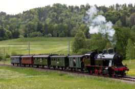 DVZO: Dampfschnellzug zum Bahnparkfest Brugg