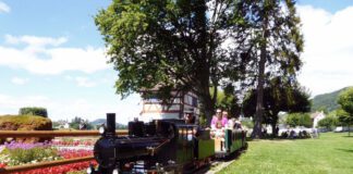 Dampfzug Stein am Rhein_Steiner Liliputbahn Verein_2020