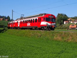 Verein Pendelzug Mirage VPM RBDe I_Dominic Stucki